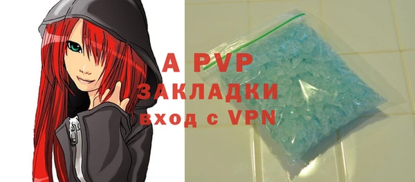 ПСИЛОЦИБИНОВЫЕ ГРИБЫ Козловка