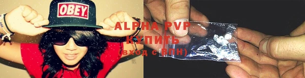 ПСИЛОЦИБИНОВЫЕ ГРИБЫ Козловка