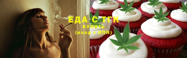 стаф Корсаков