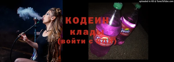 ПСИЛОЦИБИНОВЫЕ ГРИБЫ Козловка