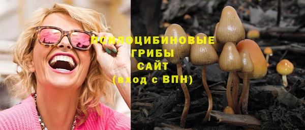 МДМА Козельск