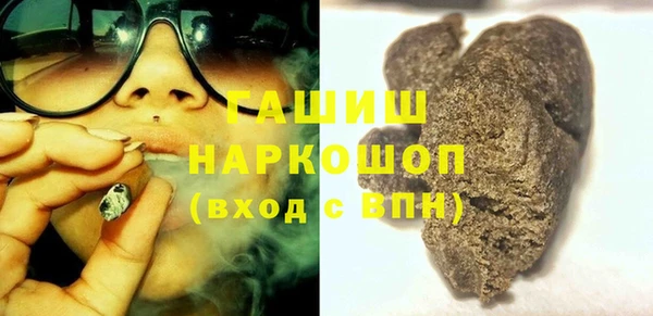 стаф Корсаков