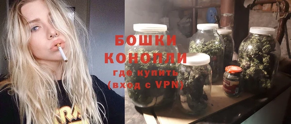 ПСИЛОЦИБИНОВЫЕ ГРИБЫ Козловка