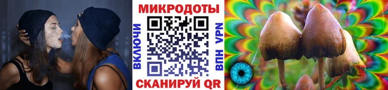 Галлюциногенные грибы Psilocybe  Купить  Лакинск 